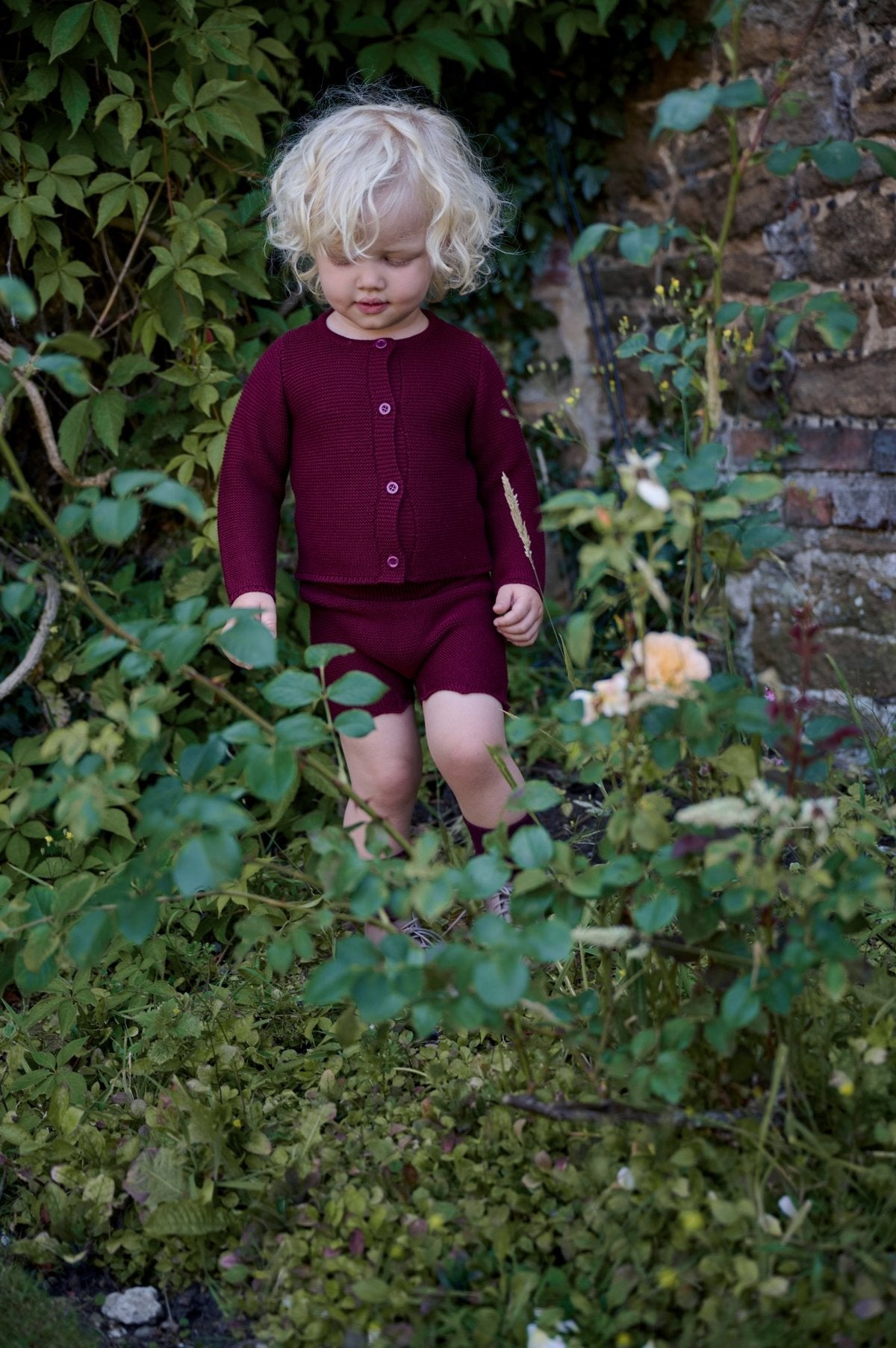 The Burgundy Floral Collection - Image 6