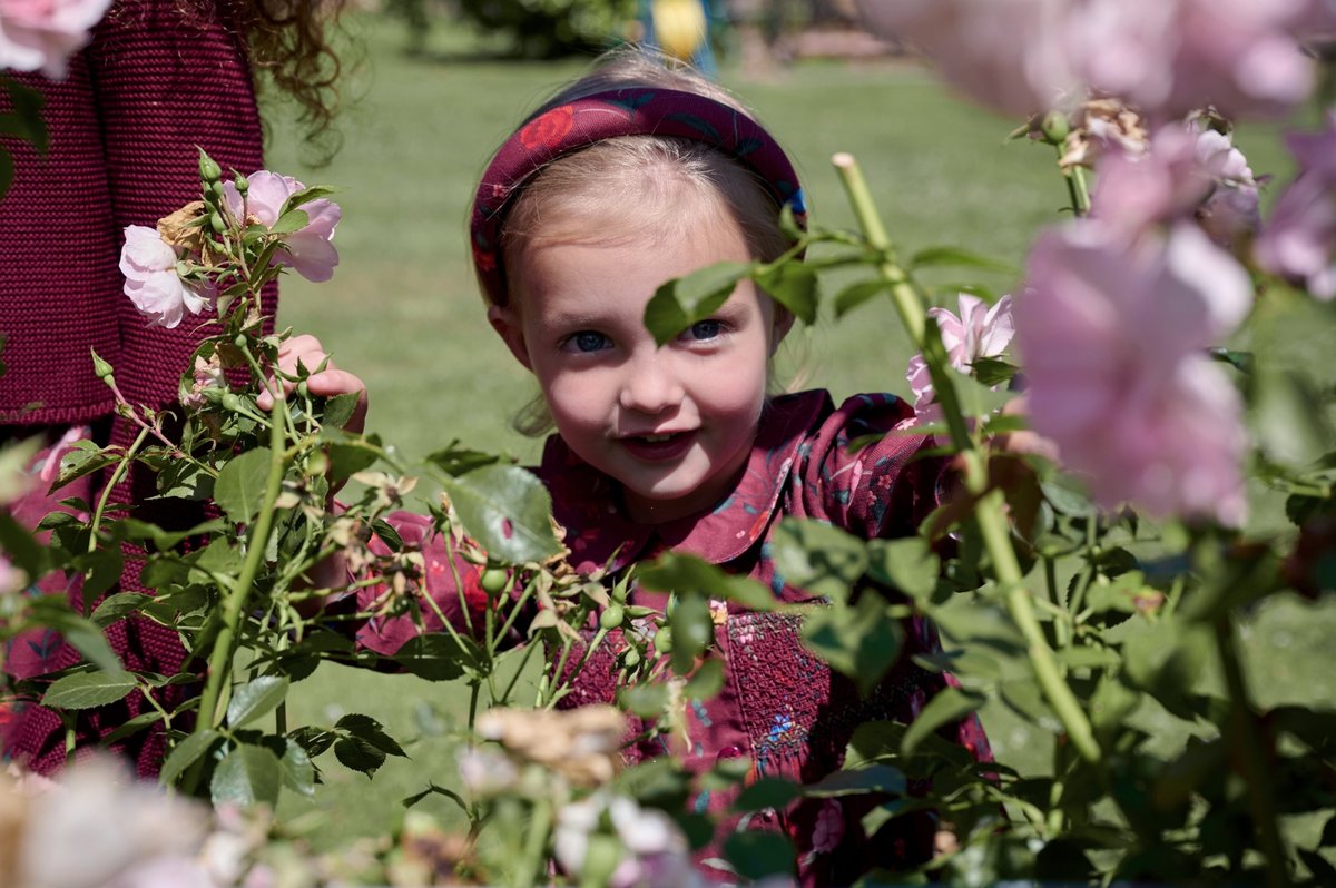 The Burgundy Floral Collection - Image 8